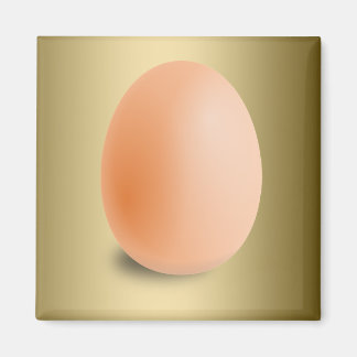 Aimant OEuf très populaire