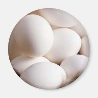 Aimant Oeufs