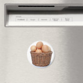 Aimant Oeufs Brown de poulet (In Situ (Lave-vaisselle))
