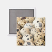 Aimant Oeufs de caille (Recto/Verso)