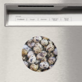 Aimant Oeufs de caille (In Situ (Lave-vaisselle))