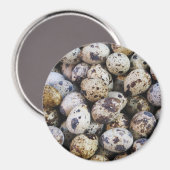 Aimant Oeufs de caille (Recto/Verso)