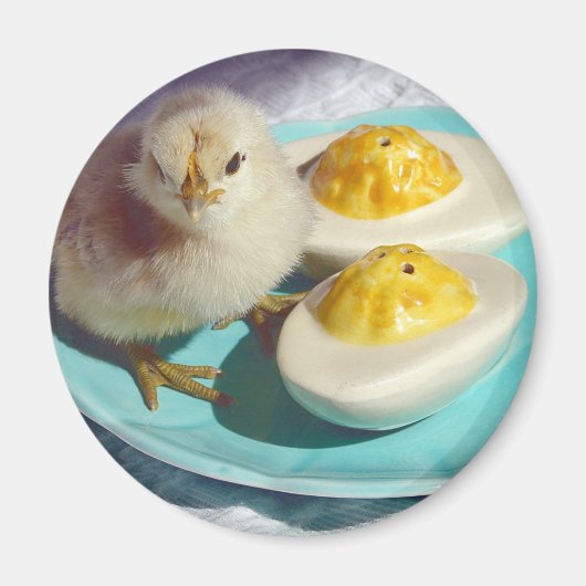 Aimant OEufs décapités et poussins (Devant)