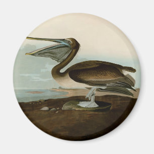 Aimant Œuvre d'art de Pélican Brun de John James Audubon