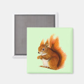 Aimant OEuvre d'art faunique Peinture de l'écureuil rouge (Recto/Verso)