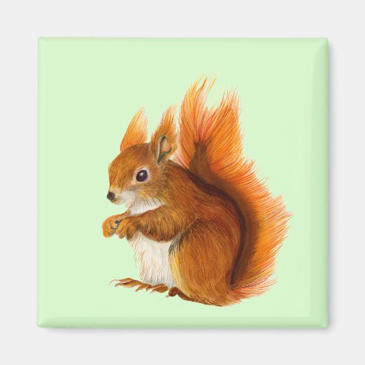 Aimant OEuvre d'art faunique Peinture de l'écureuil rouge (Devant)