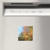 Aimant Ohio, automne n°3 (In Situ (Lave-vaisselle))