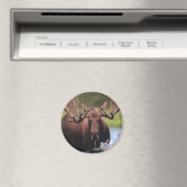 Aimant Oie (In Situ (Lave-vaisselle))