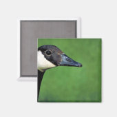 Aimant Oie canadienne (Recto/Verso)