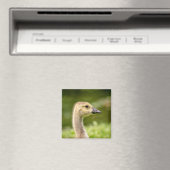 Aimant Oie canadienne (Gosling) (In Situ (Lave-vaisselle))