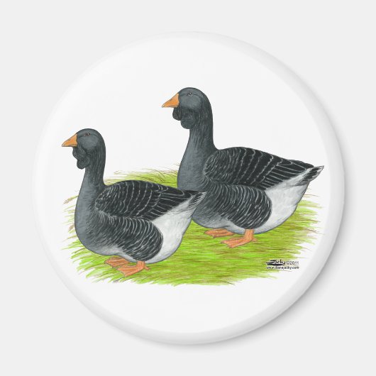 Aimant Oie de Toulouse Dewlap (Devant)