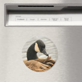 Aimant Oie du Canada sur le lac (In Situ (Lave-vaisselle))