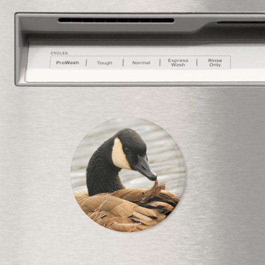 Aimant Oie du Canada sur le lac (In Situ (Lave-vaisselle))