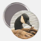 Aimant Oie du Canada sur le lac (Recto/Verso)