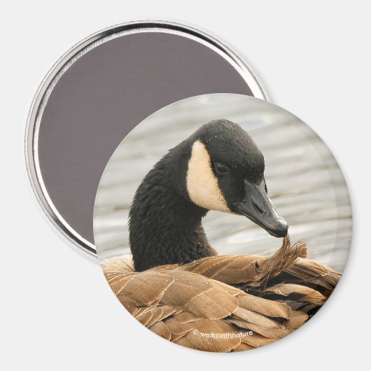 Aimant Oie du Canada sur le lac (Recto/Verso)