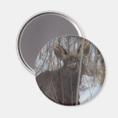 Aimant Oie souriante (Recto/Verso)