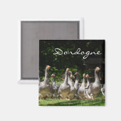 Aimant Oies dans l'aimant texte de la Dordogne (Recto/Verso)