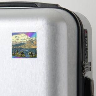 Aimant Oies empereur sur la baie Chiniak près de Chiniak,