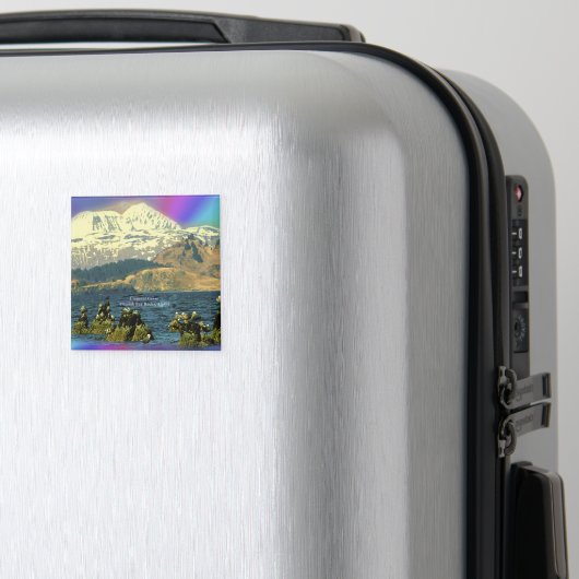 Aimant Oies empereur sur la baie Chiniak près de Chiniak, (In Situ (Bagages))