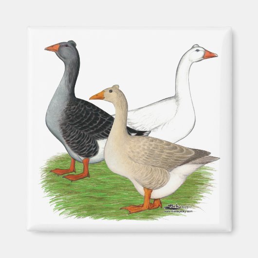 Aimant Oies : Trio Tufted (Devant)