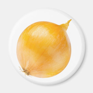 Aimant Oignon