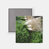 Aimant Oignons de printemps et laitue (Recto/Verso)