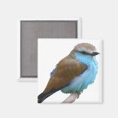 AIMANT OISEAU BLEU (Recto/Verso)