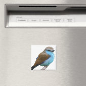 AIMANT OISEAU BLEU (In Situ (Lave-vaisselle))
