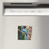 Aimant Oiseau bleu long à queue (In Situ (Lave-vaisselle))