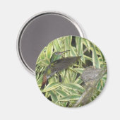 Aimant oiseau_bourdonnement (Recto/Verso)