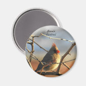 Aimant Oiseau cardinal (Recto/Verso)