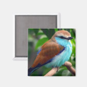 Aimant Oiseau coloré (Recto/Verso)