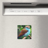 Aimant Oiseau coloré (In Situ (Lave-vaisselle))