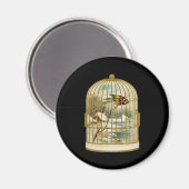 Aimant Oiseau Dans La Scène D'Hiver De Cage (Recto/Verso)