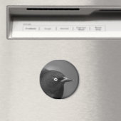 Aimant Oiseau de Hitchcock (In Situ (Lave-vaisselle))
