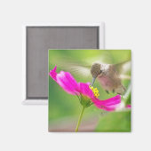 Aimant Oiseau de mer Animaux Faune Florale (Recto/Verso)