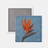 Aimant oiseau de paradis (Recto/Verso)