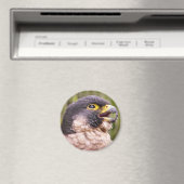 Aimant Oiseau de proie (In Situ (Lave-vaisselle))