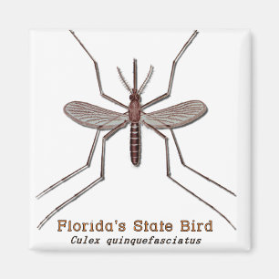Aimant Oiseau d'état de la Floride