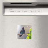 Aimant Oiseau du Costa Rica - Colibri (In Situ (Lave-vaisselle))