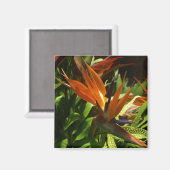 Aimant Oiseau du paradis (Recto/Verso)