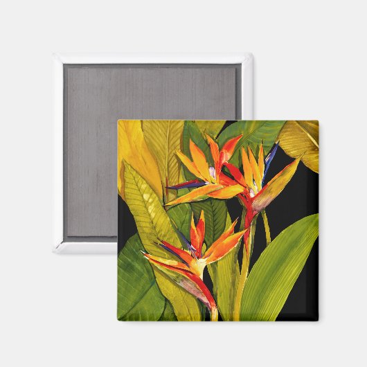 Aimant Oiseau du Paradis (Recto/Verso)