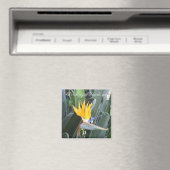 Aimant Oiseau du Paradis (In Situ (Lave-vaisselle))