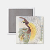 Aimant Oiseau du Paradis, des "Oiseaux de Nouvelle-Guinée (Recto/Verso)