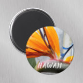Aimant Oiseau du Paradis Fleur Plante Hawaï