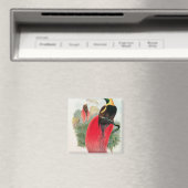 Aimant Oiseau du Paradis, gravé par T. Walter (In Situ (Lave-vaisselle))