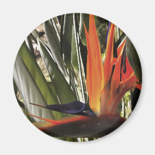 Aimant Oiseau du Paradis Strelitzia Reginae Acrylique Pai
