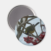 Aimant Oiseau et Berry (Recto/Verso)