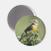 Aimant Oiseau jaune (Recto/Verso)