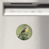 Aimant Oiseau jaune (In Situ (Lave-vaisselle))
